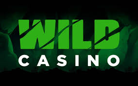 Full Testimonial of Wild Gambling Establishment